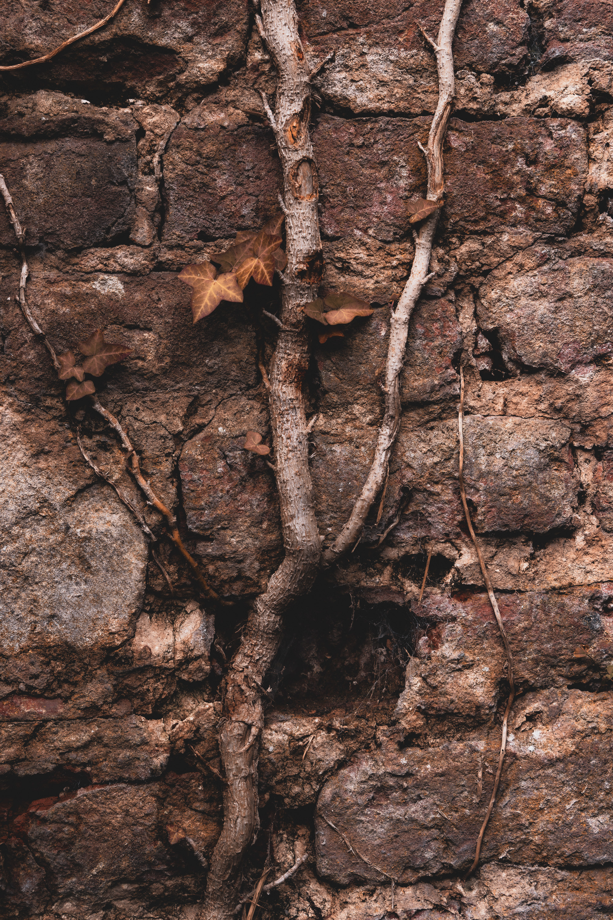 Wabi sabi
