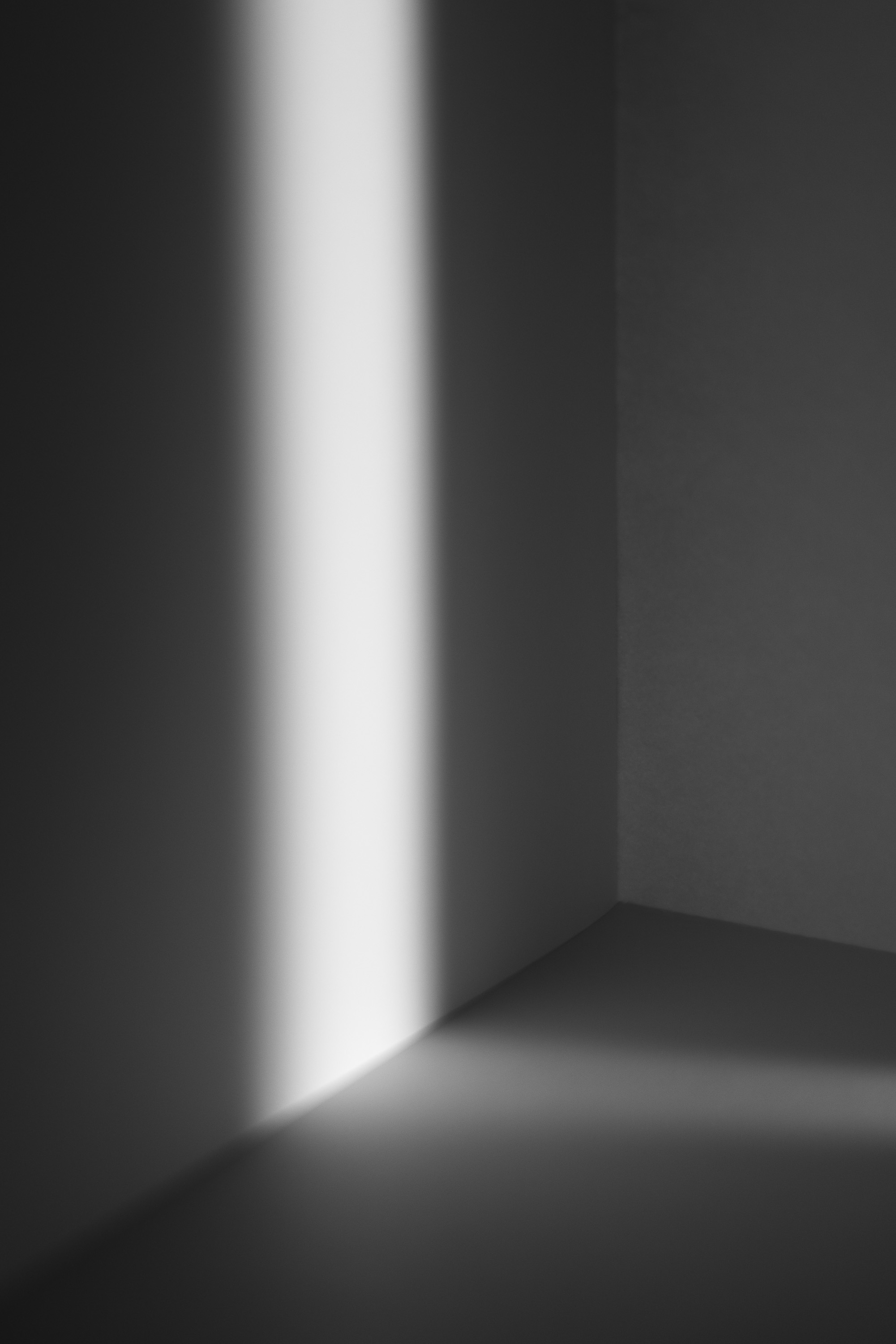 The prison within