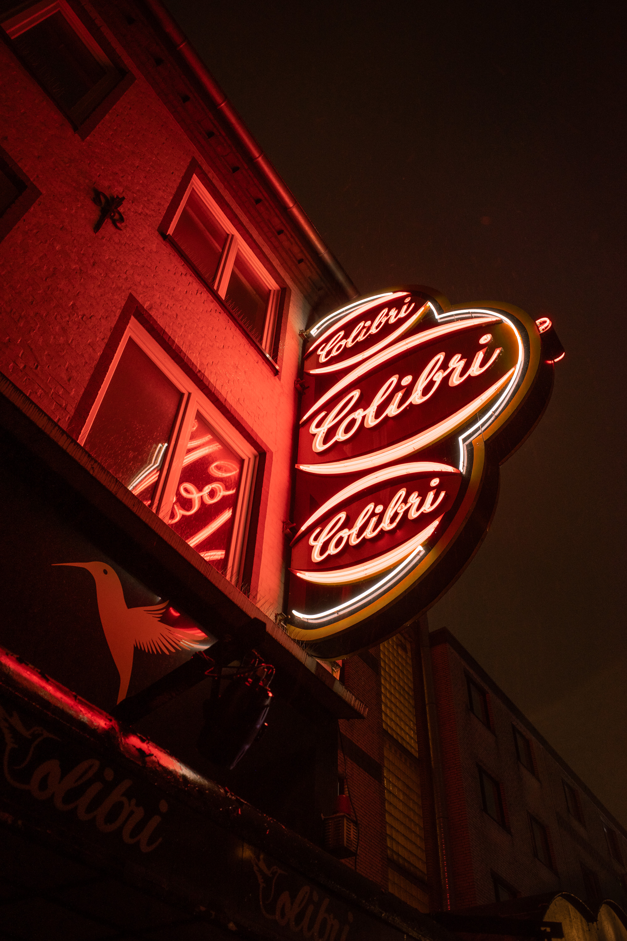 Requiem of neon nights